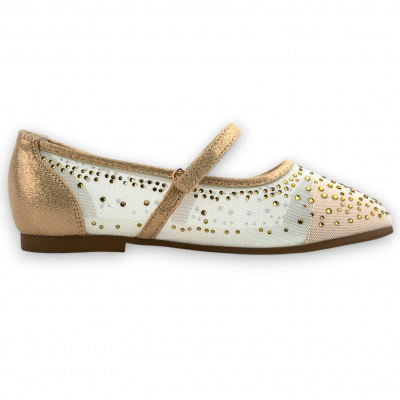 IFU_1214-29_gold (5)