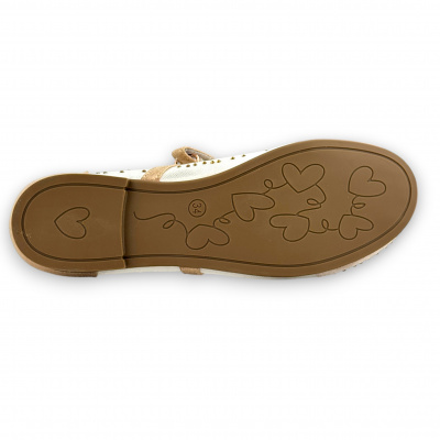 IFU_1214-29_gold (4)