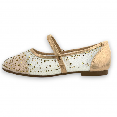 IFU_1214-29_gold (2)