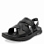 ZN012-311 (1)