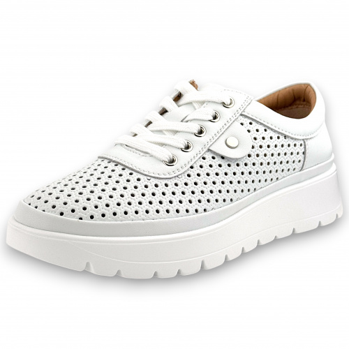 GS244_01SP-WT (1)