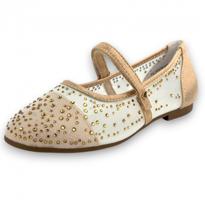 IFU_1214-29_gold (1)