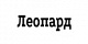 Леопард
