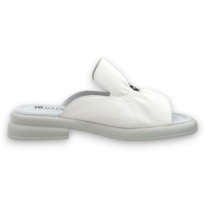 DL088-012 (5)